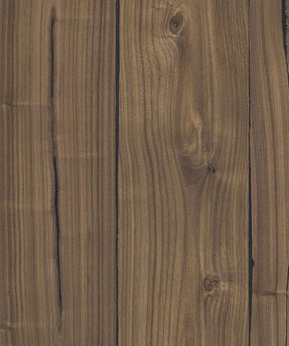 Walnut almond expressive - almond,