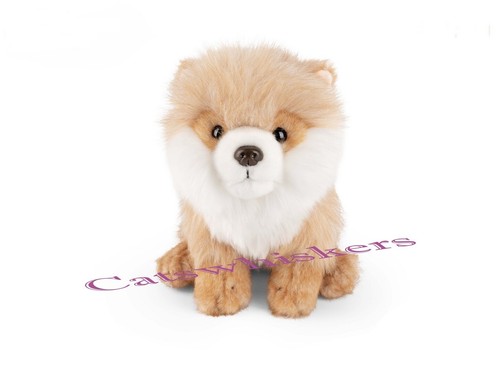 Sitting pomeranian puppy plush - pomeranian,