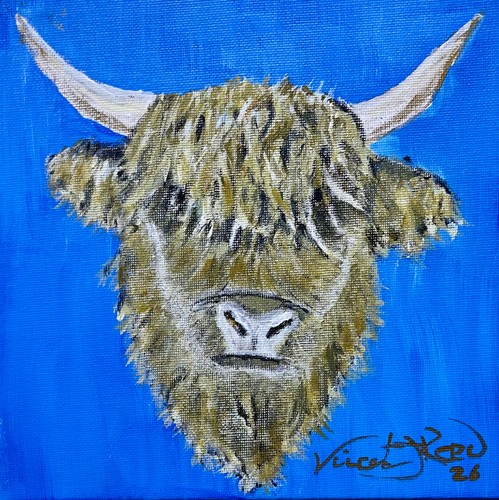 Highland cow acrylic painting - cow,