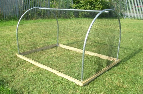 Bird net cloche garden - bird,