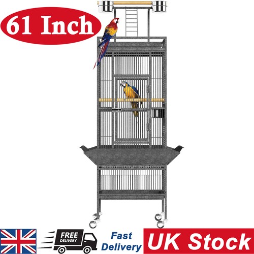 Large bird cage with - bird,