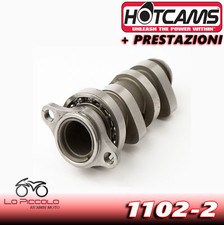 Camshaft racing stage hot - stage, 2