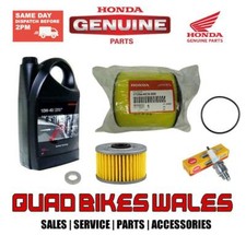 Genuine Honda TRX420 FM ES Fourtrax 07-13 Quad Service Kit & Oil