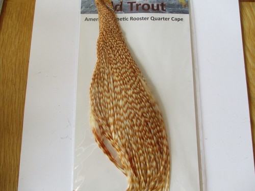 Light barred ginger cock - barred, cape