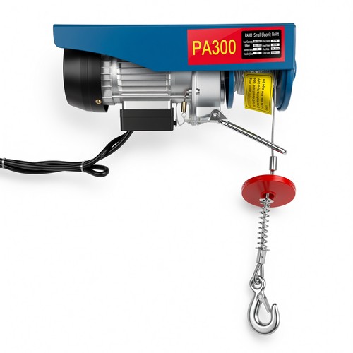 300kg electric winch scaffold - 300kg,