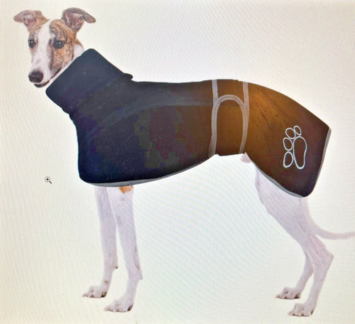 Greyhound whippet lurcher - greyhound, &