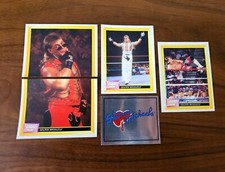 Rare Shawn Michaels Sticker Set - 1993 WWF Merlin WCW Wrestling x 5 Stickers