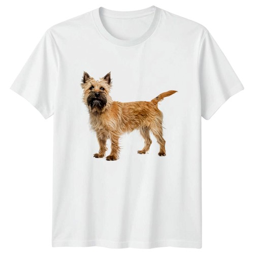 Cairn terrier dog - terrier, breed