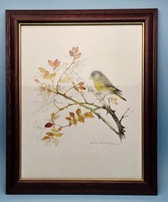 Framed Vintage offset