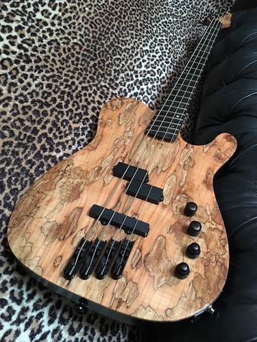 Kiesel telecaster style - telecaster,
