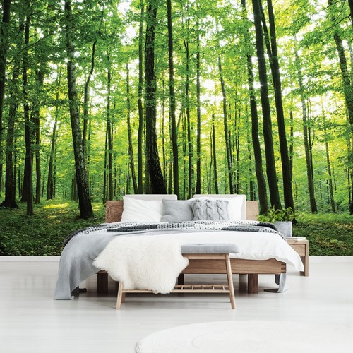 Living room wallpaper murals