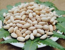 Neem Seeds 100% High Quality
