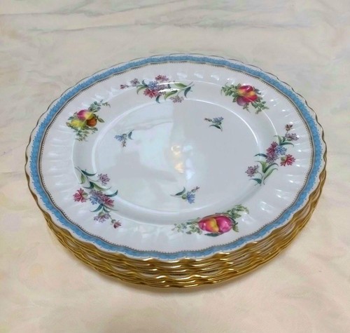 Spode trapnel sprays pcs - spode,