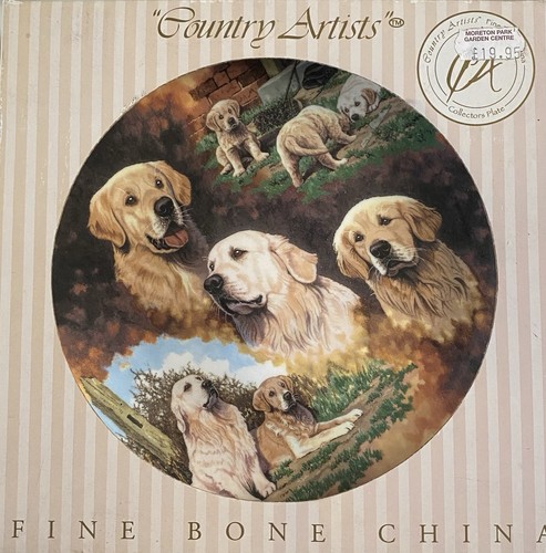 Golden retriever country - retriever,