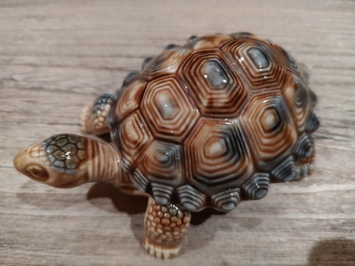 Beautiful blue brown - blue, mottled