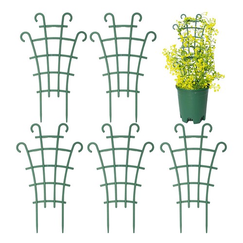 12x garden plant - garden, climbing