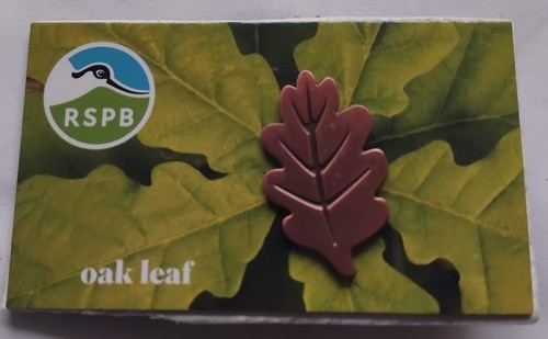 Rspb pin badge - badge, a