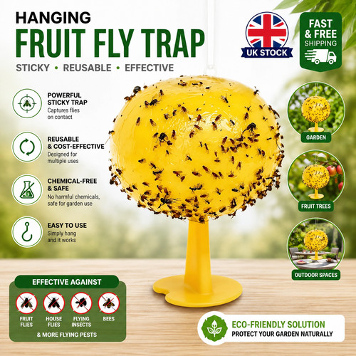 Multifunction fruit fly balls - fly,