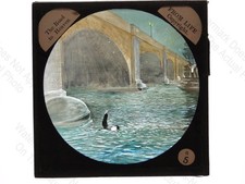 Road To Heaven Drowning River