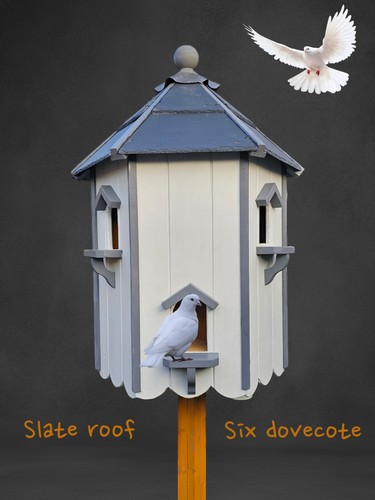 Dovecote for pairs doves - for,