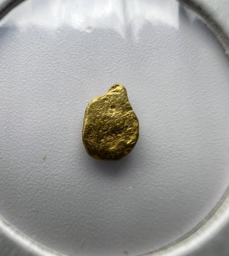 Gold nugget hand panned from - hand,