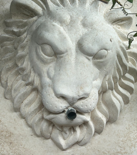 Lion block water - water, /