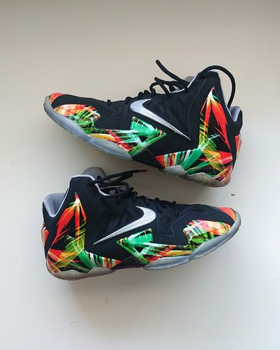 Nike lebron everglades - 11,
