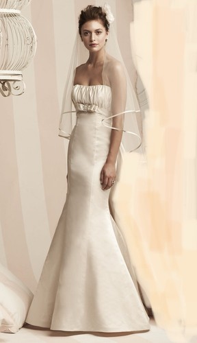 Paloma blanca 3856 - paloma,