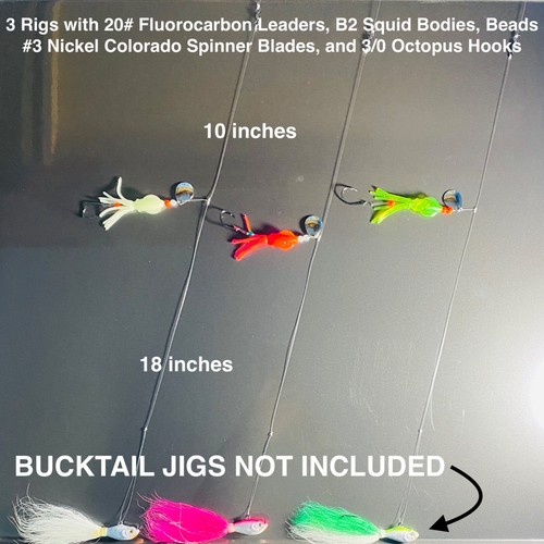 Fluke flounder - (free,