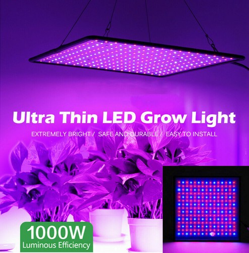 Led grow light - grow, indoor