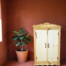 Vintage Bleached Rustic