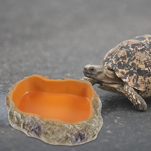 Reptile water bowls decorative - water,