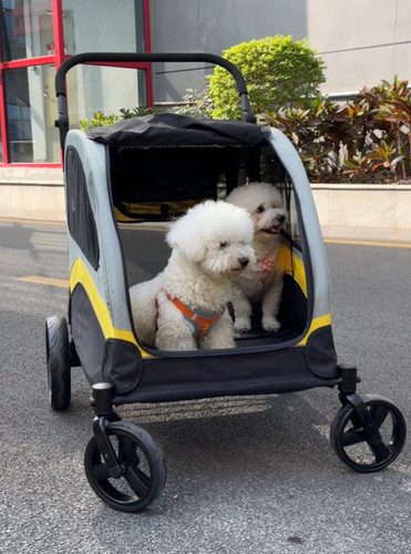 Xxl double seat - xxl,