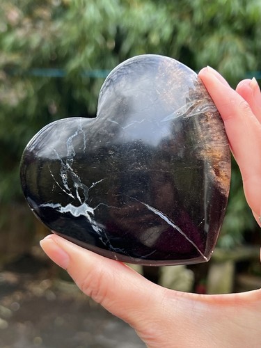 Petrified fossilised wood - petrified,