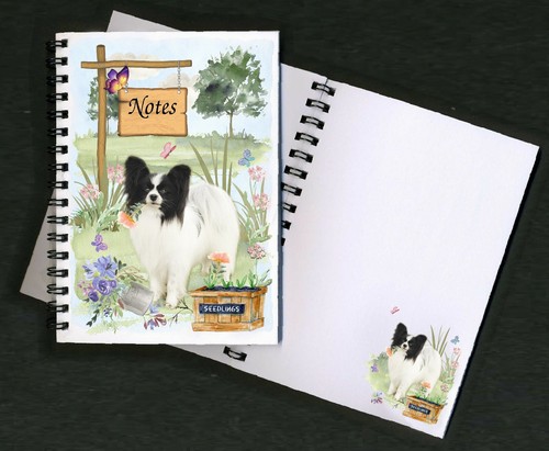 Papillon butterfly dog - papillon,