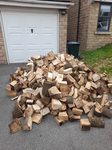 Firewood logs for - logs, sale
