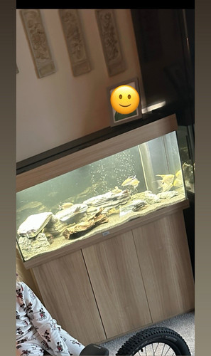 180l juwel fish tank