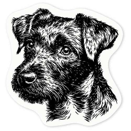 Patterdale terrier portrait - terrier, portrait'