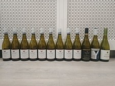 24 Empty Green Dimpled Wine