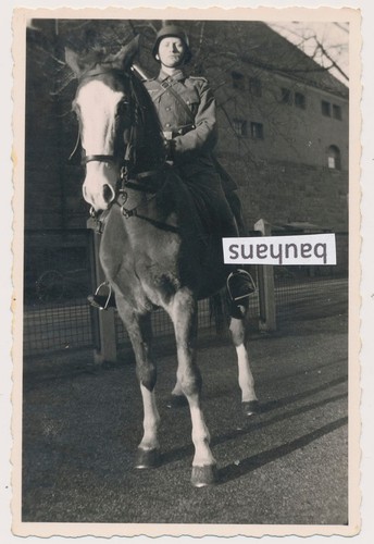 Photo wehrmacht soldier with - photo,