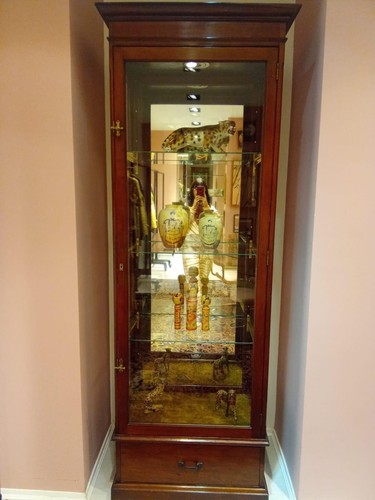 Mahogany shop display - shop,
