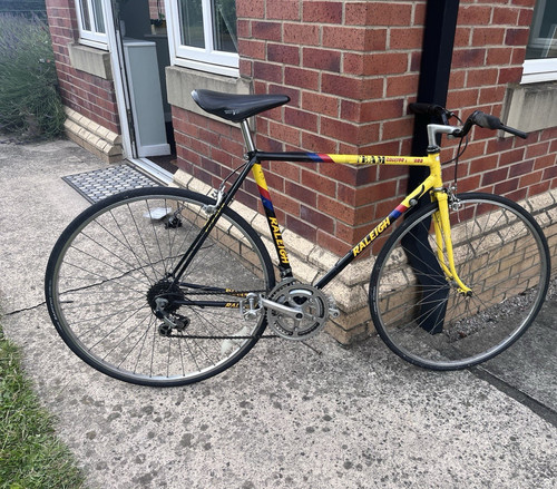Raleigh tam vintage road bike - raleigh,