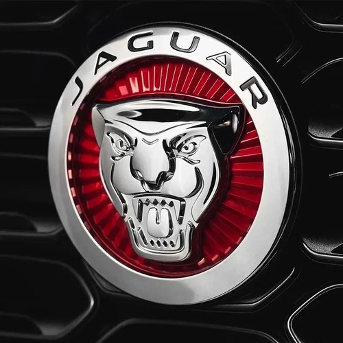Car front grille emblem - front, badge