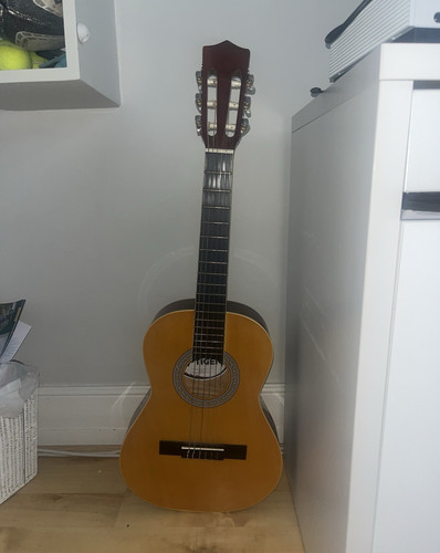Tiger classical guitar - tiger,