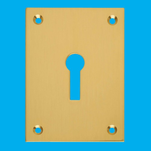 Rectangle brushed brass - 2x,