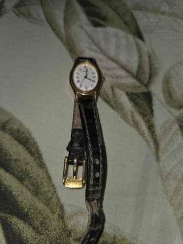 Ladies seiko analogue - ladies,