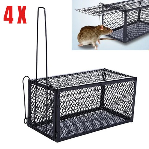 Humane rat trap live - live, mouse