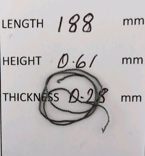 Fusee chain length - fusee, mm