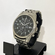 Citizen Promaster Watch