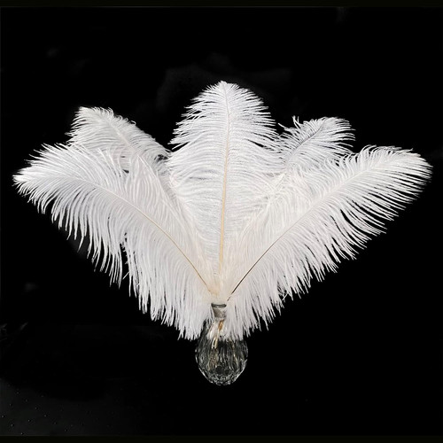 Natural black ostrich feathers - black,
